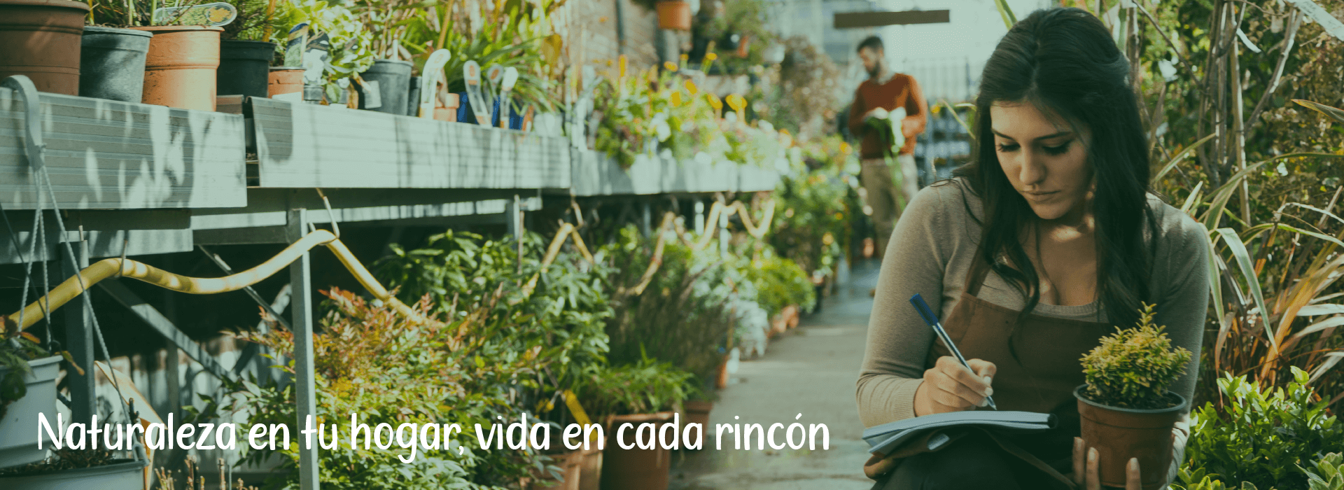 imagen carrusel