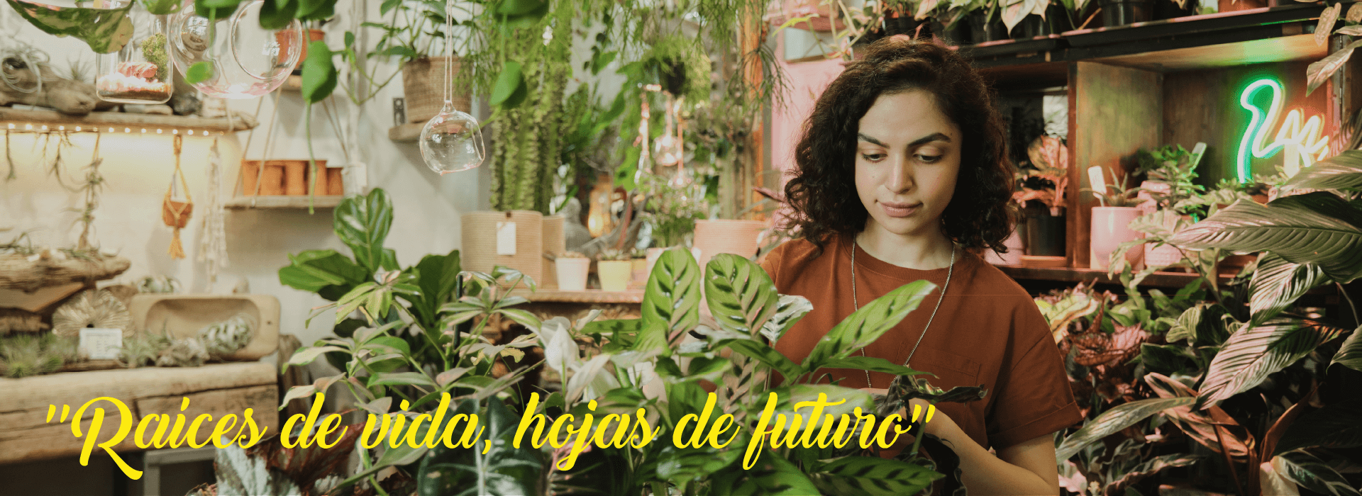 imagen carrusel